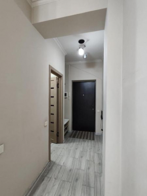 Апартаменты Алматы Apartments Almaty уютные Квартиры посуточно Алматы